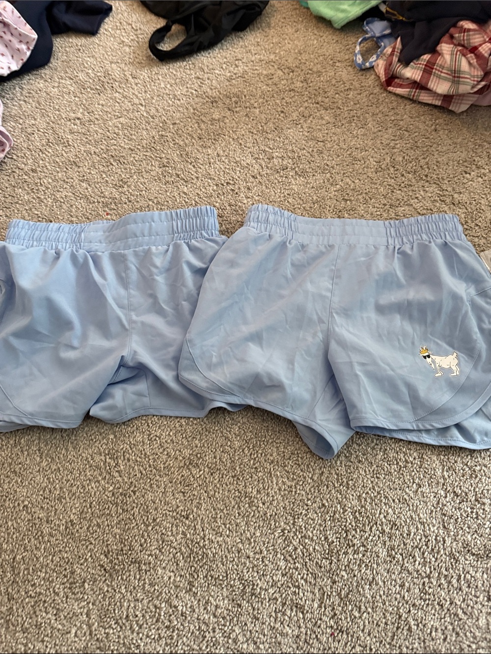Light Blue Girls' Athletic Shorts with Dog Patch